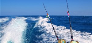 Fishing in The Maldives with Indian Ocean Charters