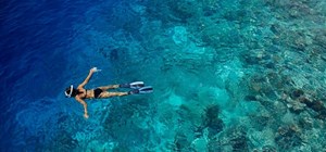 Snorkeling in The Maldives with Indian Ocean Charters